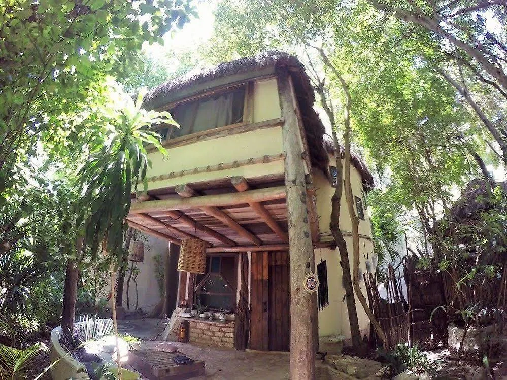 ***  Shalala Hotel 普拉亚卡门 墨西哥