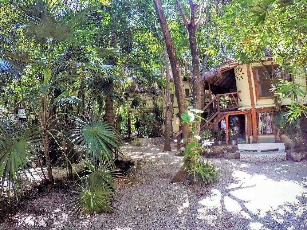 Shalala Hotel 普拉亚卡门