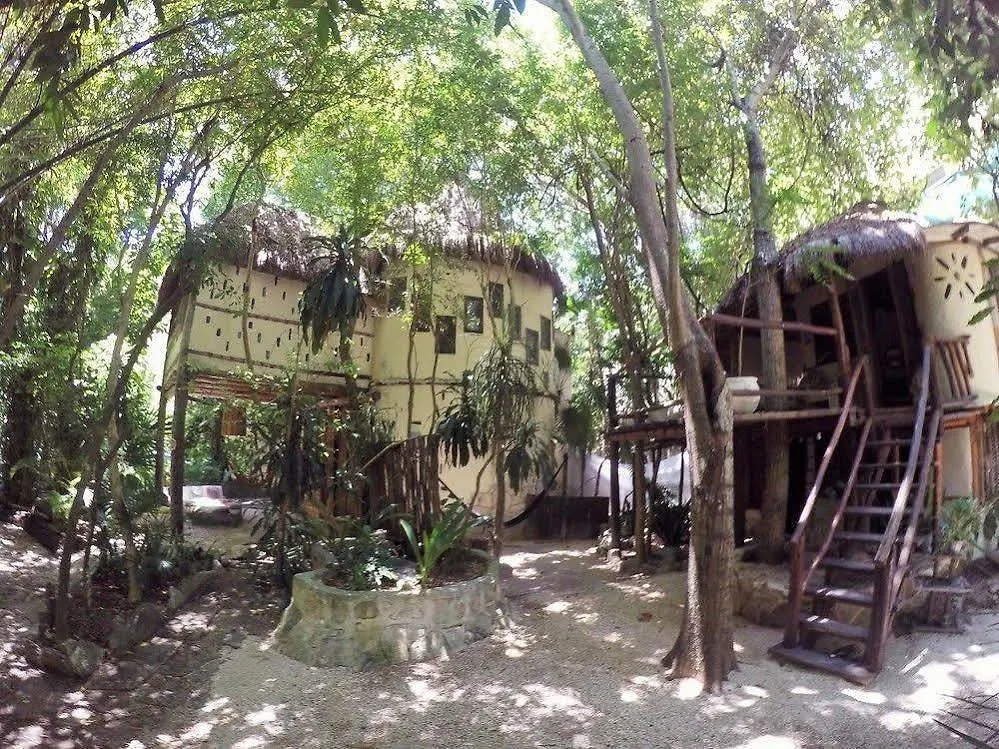 Shalala Hotel 普拉亚卡门 墨西哥