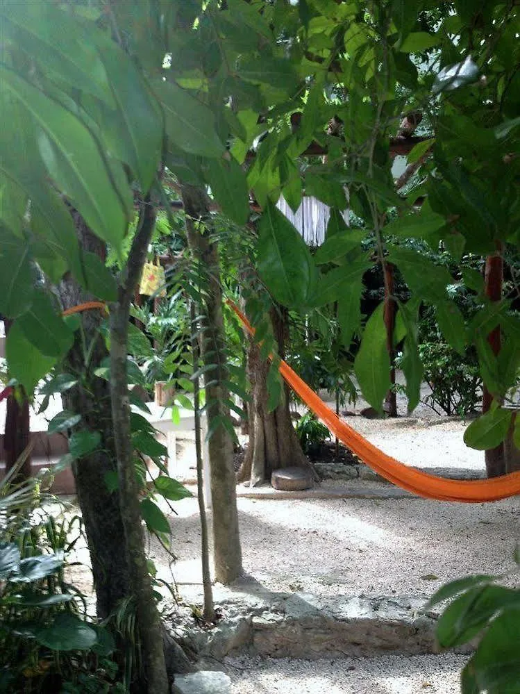 Shalala Hotel 普拉亚卡门