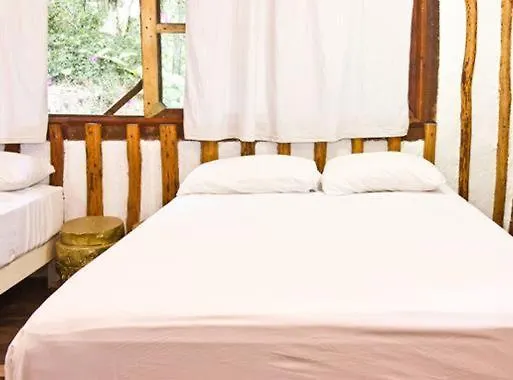 Shalala Hotel 普拉亚卡门 3*,