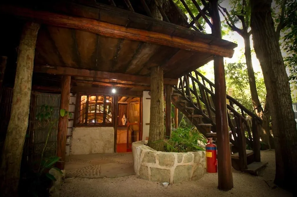 Shalala Hotel 普拉亚卡门