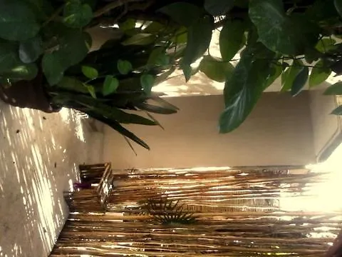 Shalala Hotel 普拉亚卡门