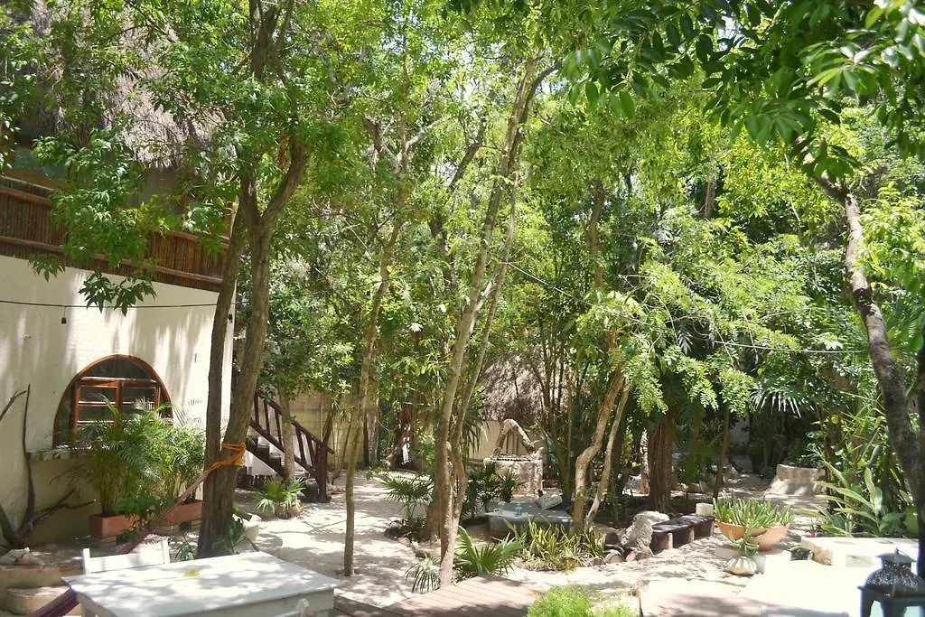 Shalala Hotel 普拉亚卡门 墨西哥